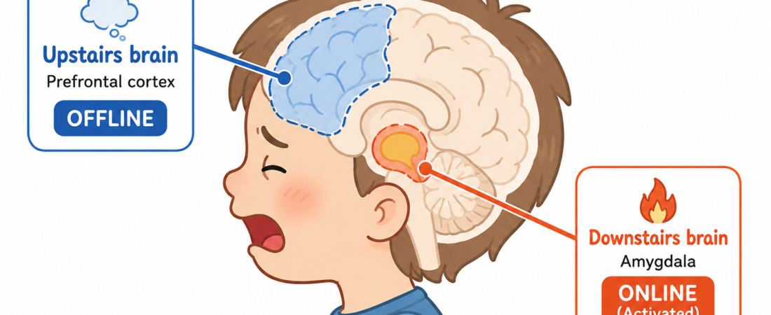 Why “Take a Deep Breath” Does Not Work During a Meltdown