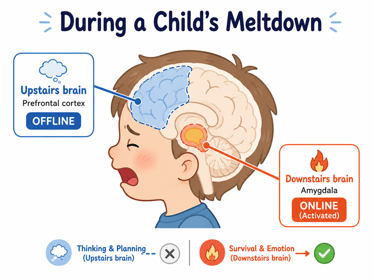 Why “Take a Deep Breath” Does Not Work During a Meltdown